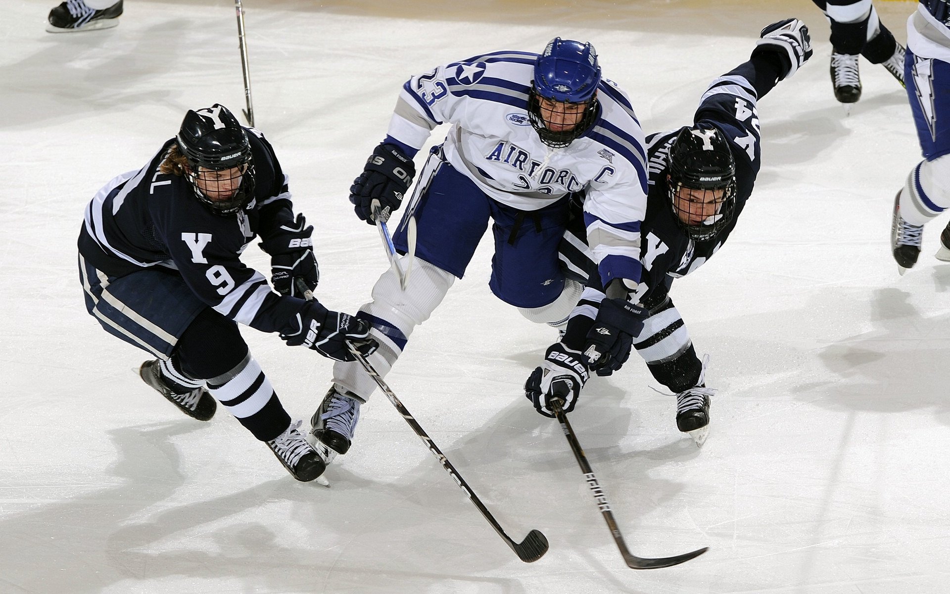 “SHO-CHAN Run 2025：一场与速度赛跑的香港盛会”